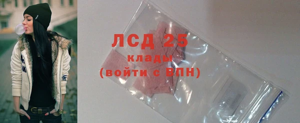 амф Верея