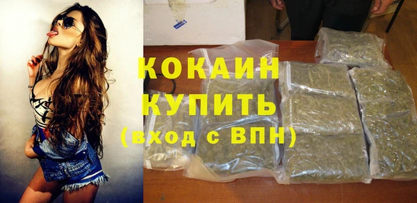 амф Верея