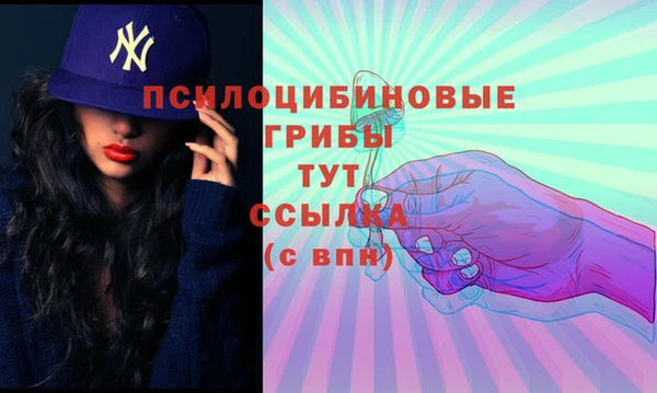 амф Верея