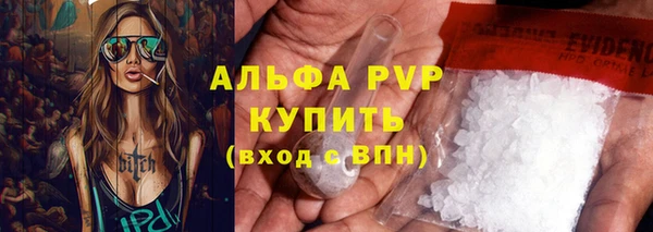 амф Верея
