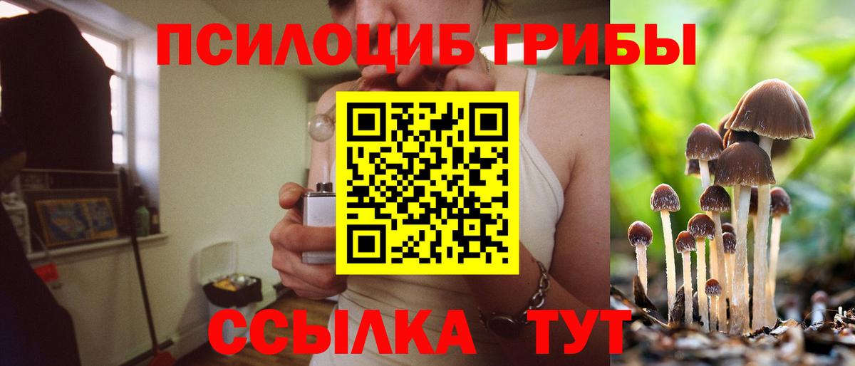 Псилоцибиновые грибы Psilocybe  наркошоп  Вход с VPN  Кызыл  Псилоцибиновые грибы мухоморы 