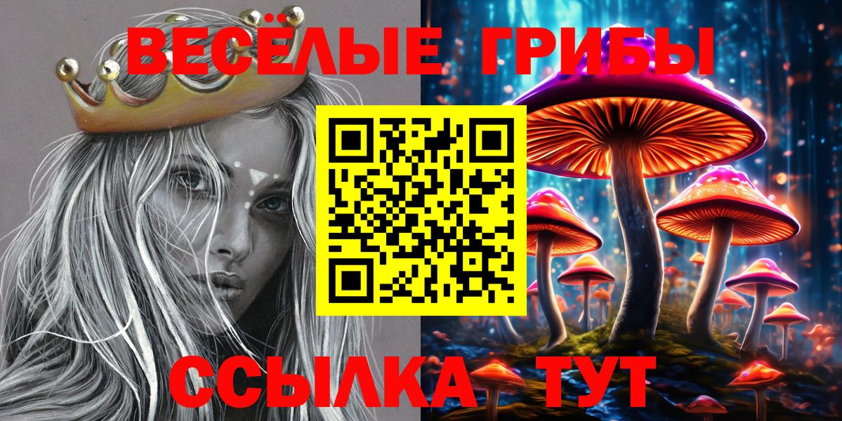 Галлюциногенные грибы прущие грибы Кызыл
