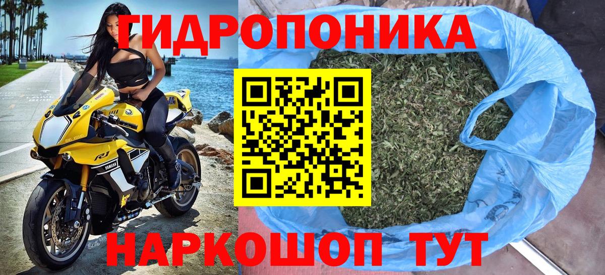 Шишки марихуана Amnesia Кызыл